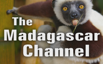The Madagascar Channel