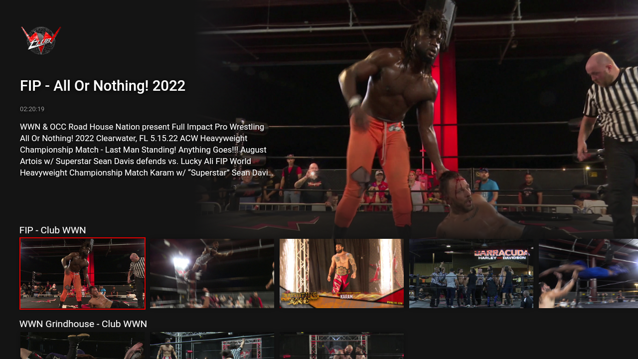 World Wrestling Network Screenshot 002