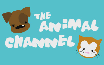 The Animal Channel