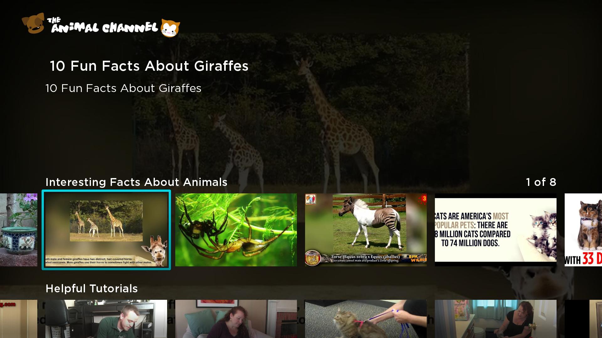 The Animal Channel Screenshot 001