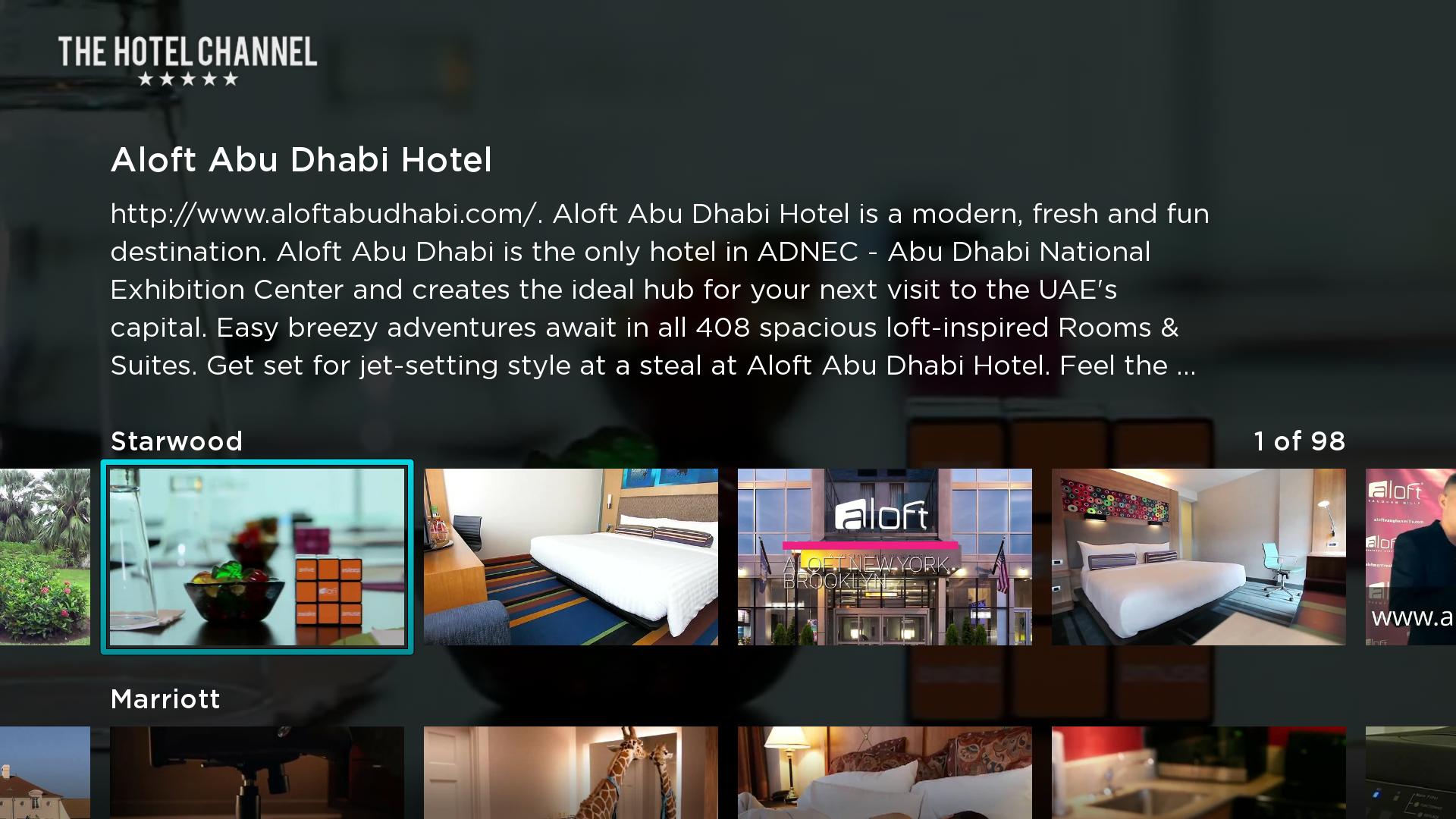 The Hotel Channel Screenshot 002